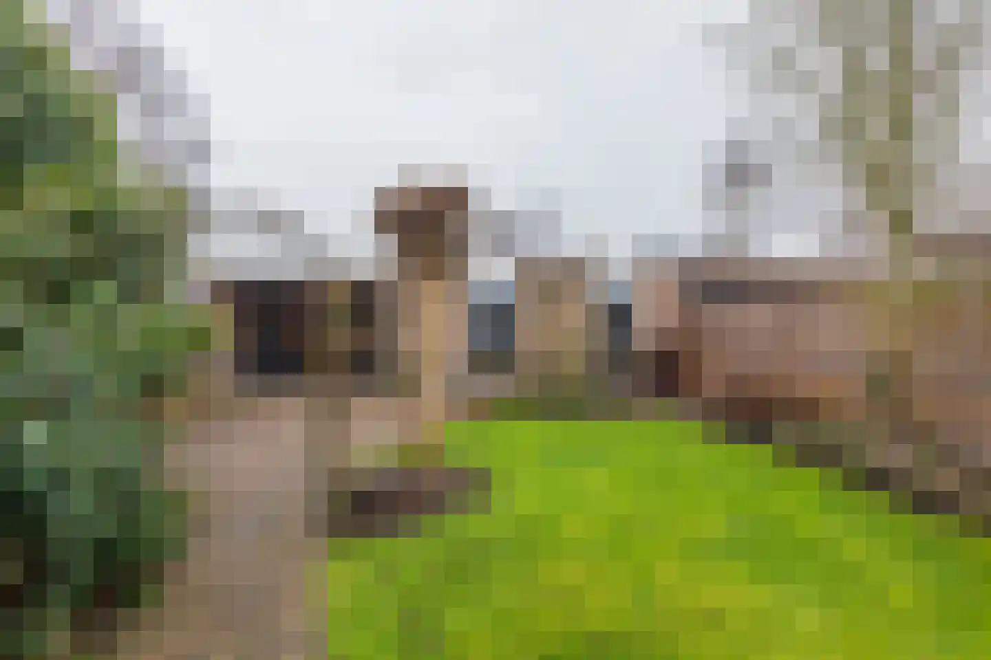 Zeggegrasstraat 33 Lisserbroek thumbnail 12