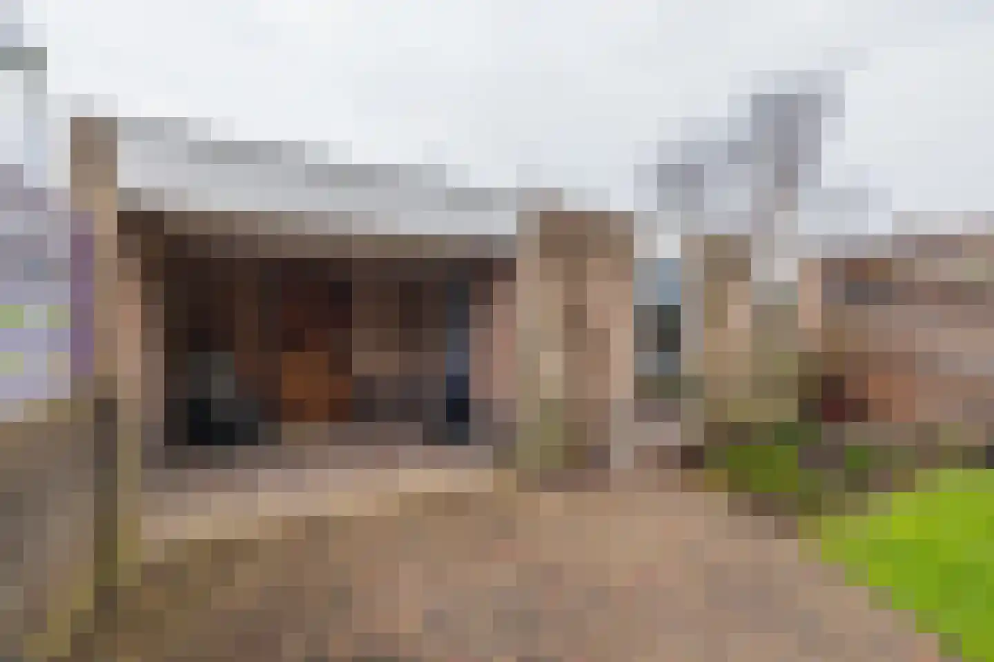 Zeggegrasstraat 33 Lisserbroek thumbnail 13