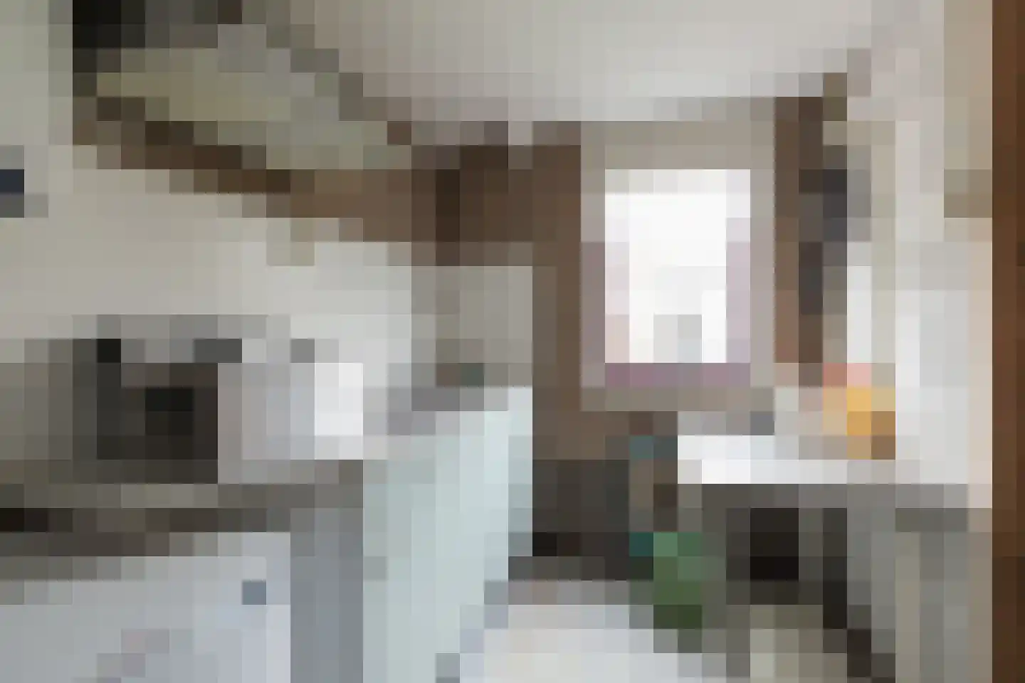 Zeggegrasstraat 33 Lisserbroek thumbnail 16