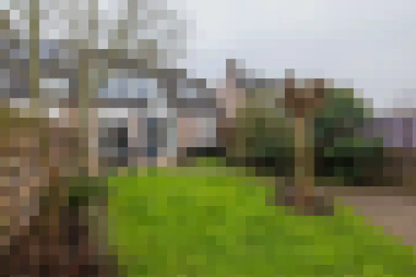 Zeggegrasstraat 33 Lisserbroek thumbnail 18