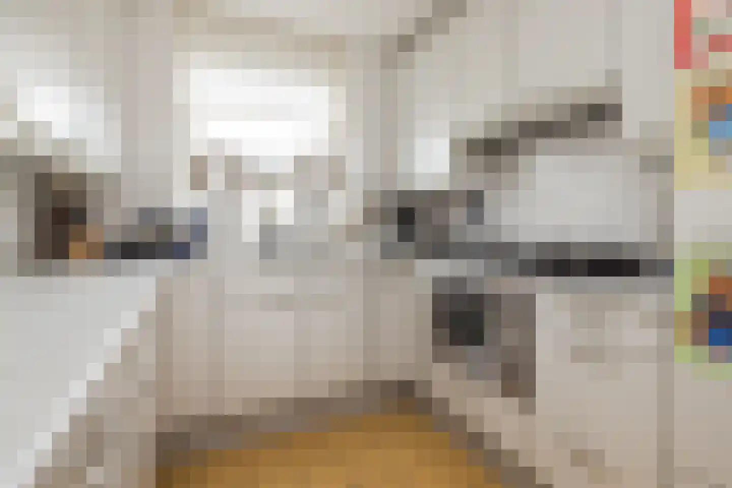 Zeggegrasstraat 33 Lisserbroek thumbnail 22