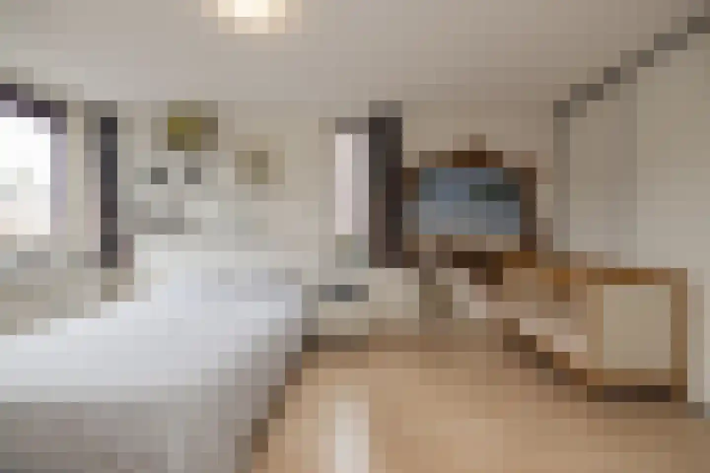 Zeggegrasstraat 33 Lisserbroek thumbnail 35