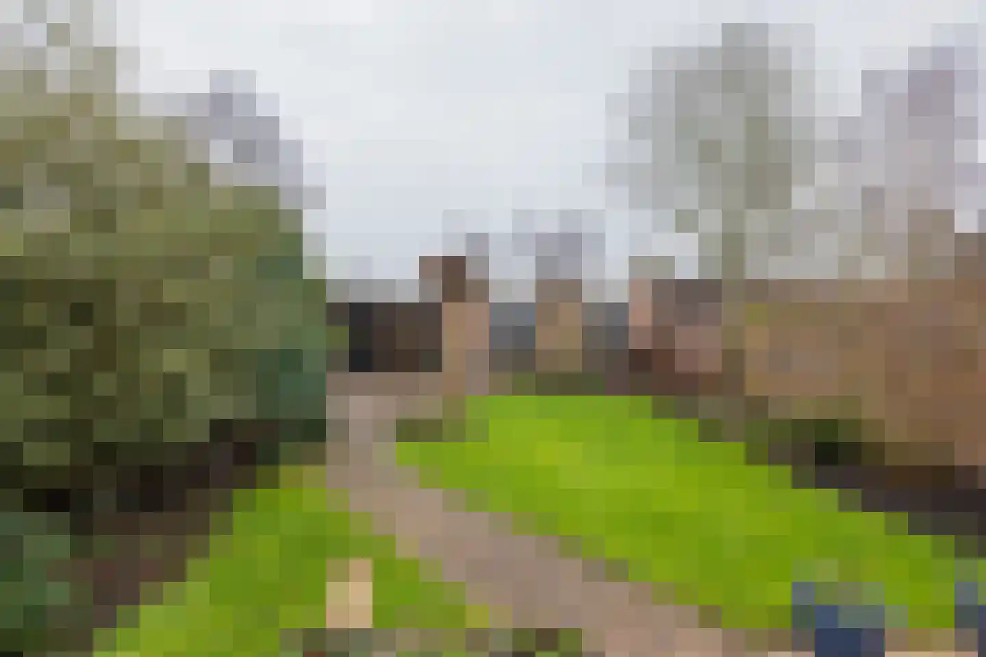 Zeggegrasstraat 33 Lisserbroek thumbnail 4