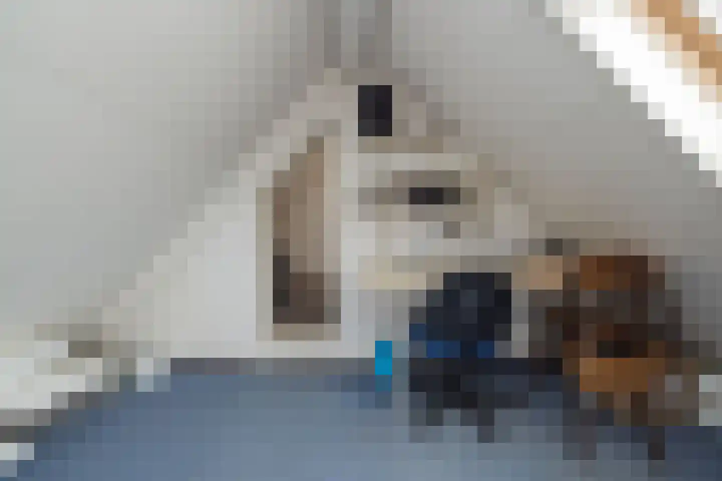 Zeggegrasstraat 33 Lisserbroek thumbnail 47