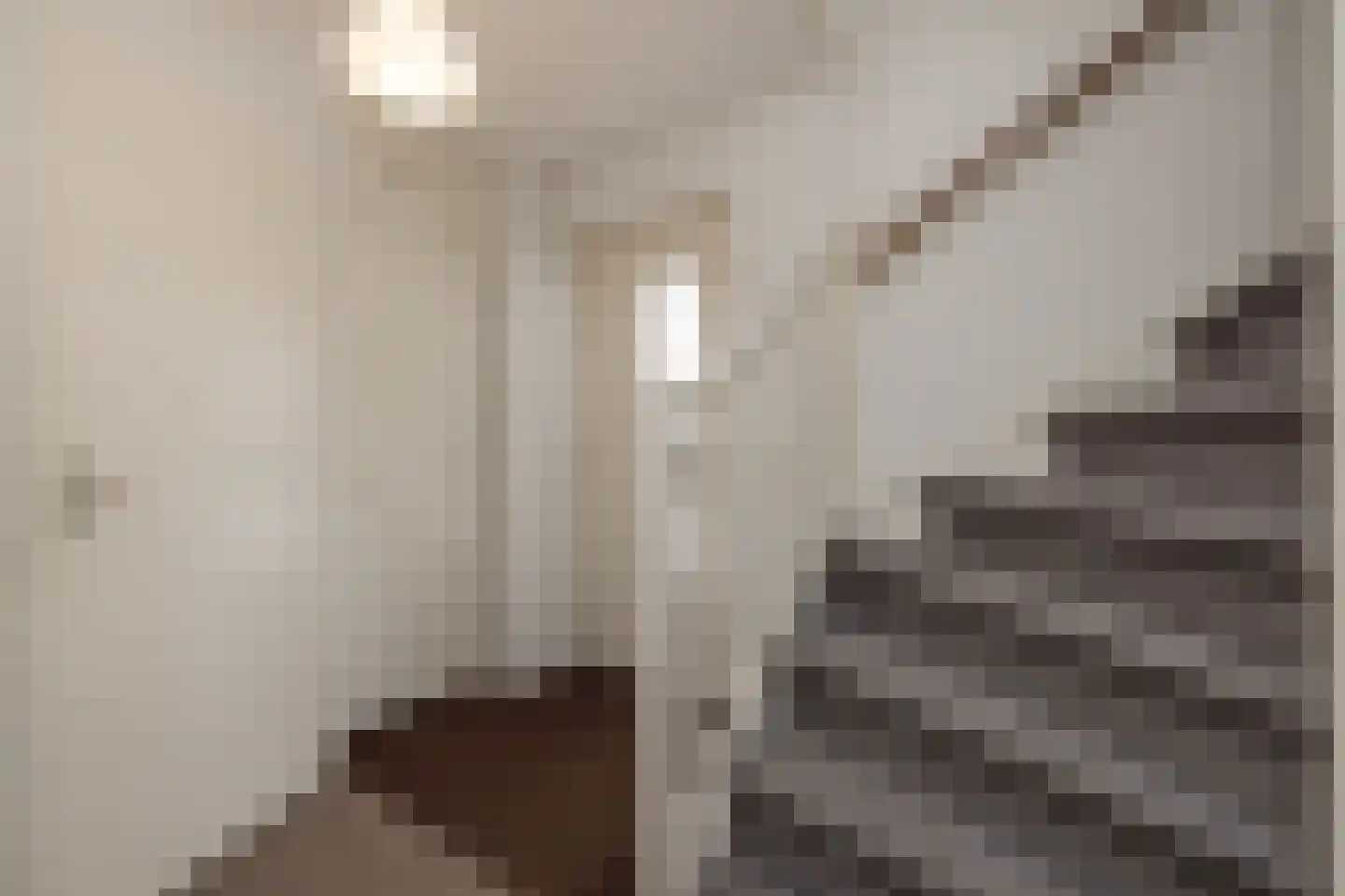 Zeggegrasstraat 33 Lisserbroek thumbnail 48