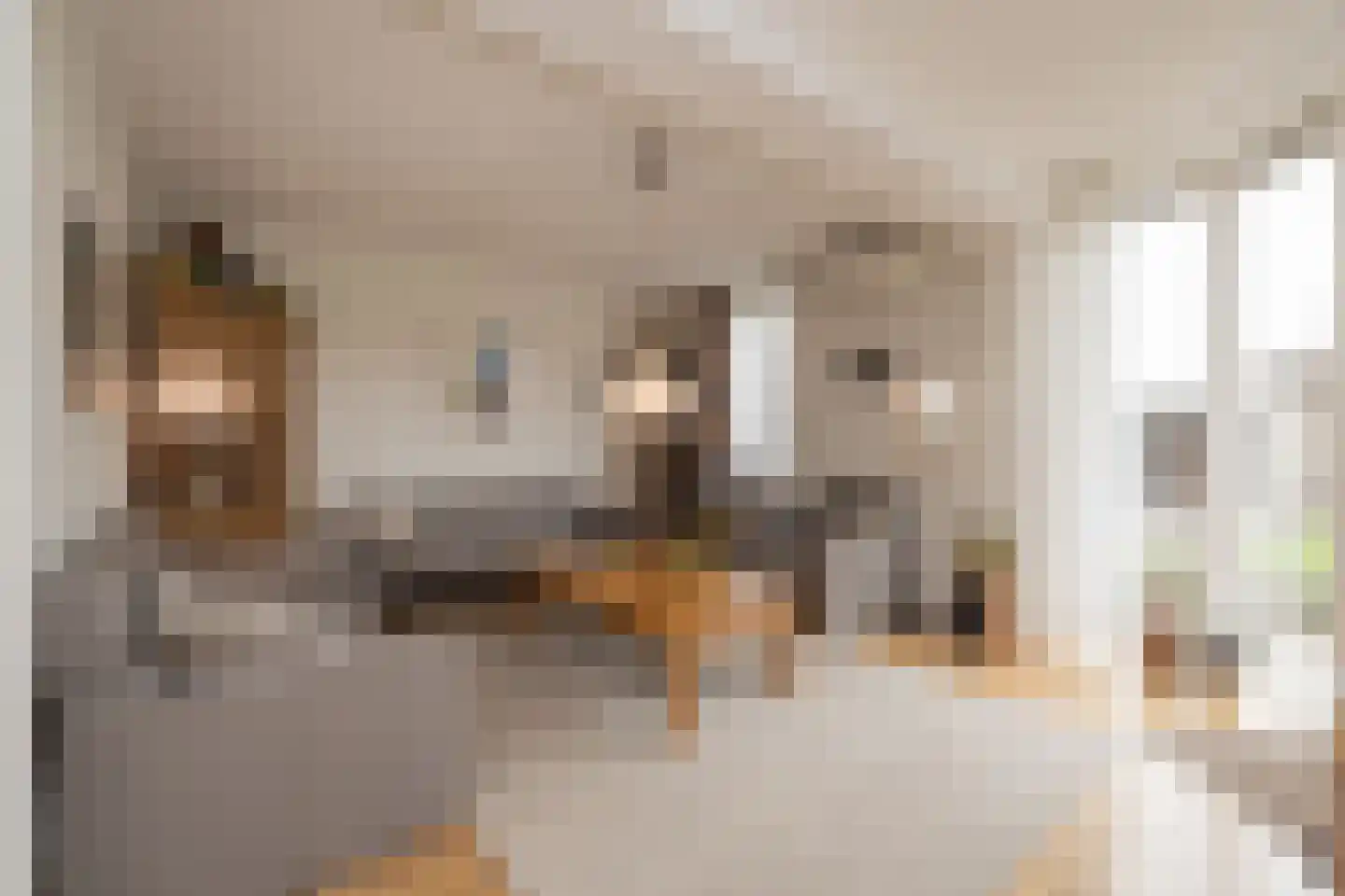 Zeggegrasstraat 33 Lisserbroek thumbnail 9