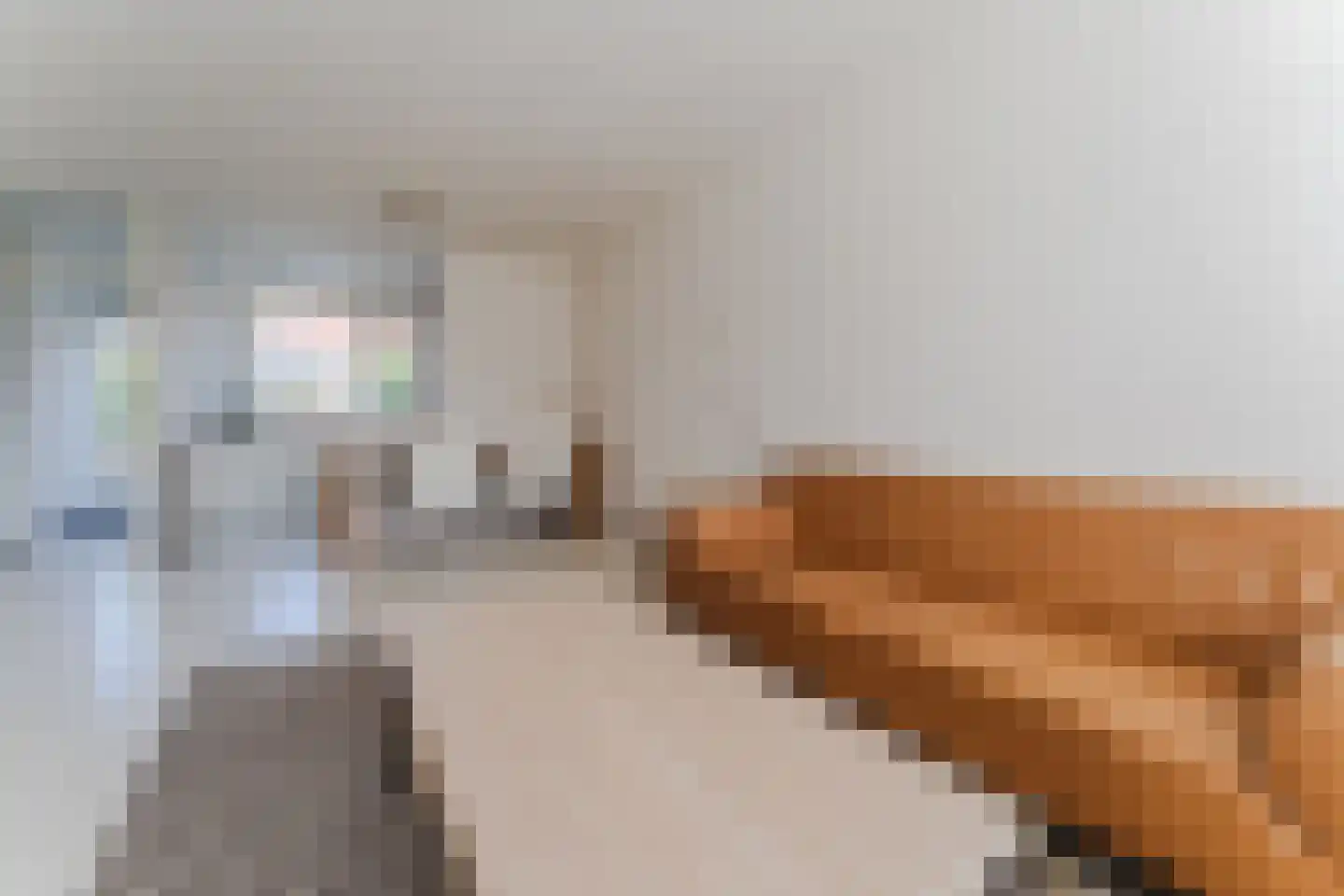 Zeggehof 22 Purmerend thumbnail 10
