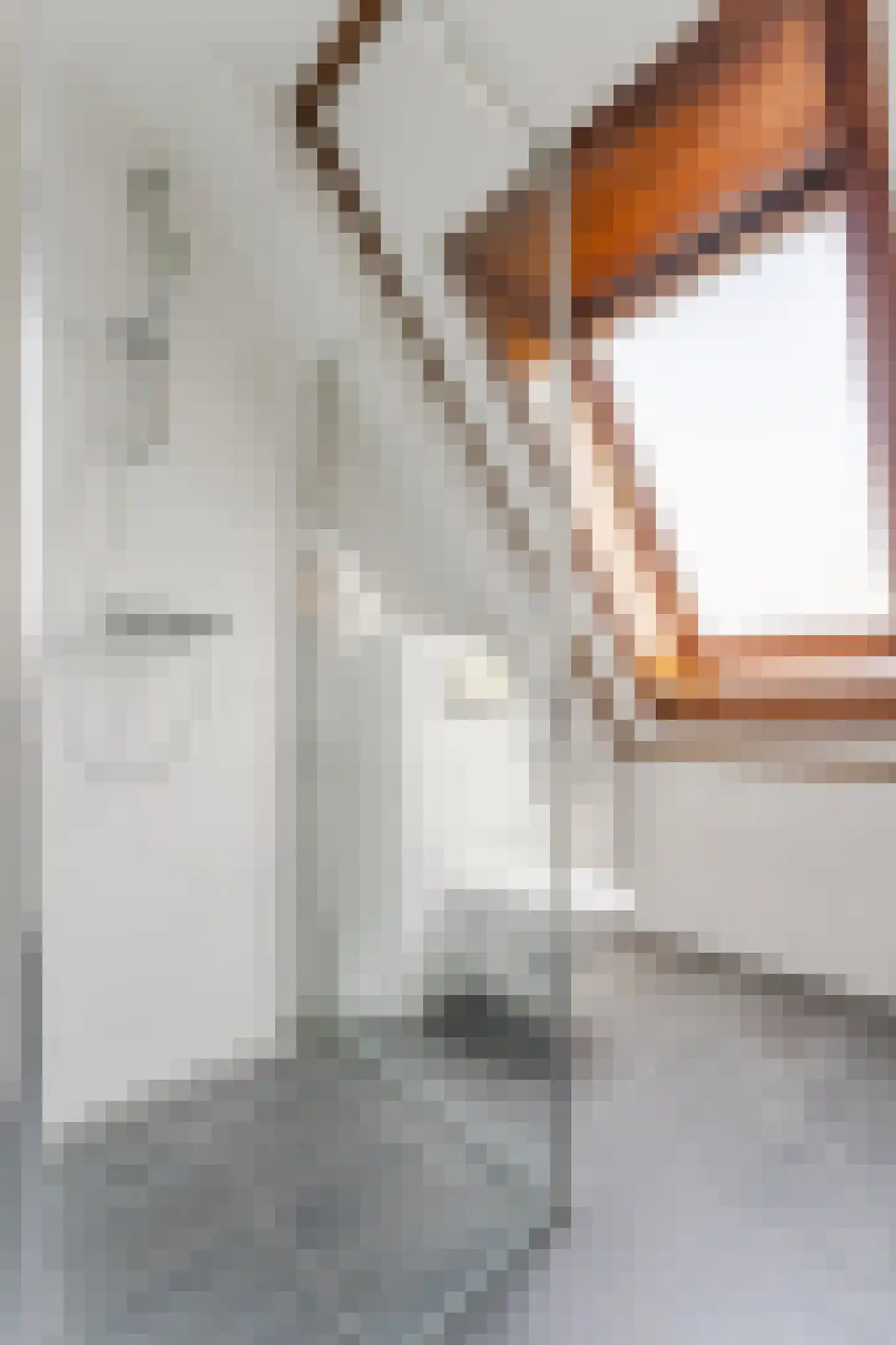 Zeggehof 22 Purmerend thumbnail 22