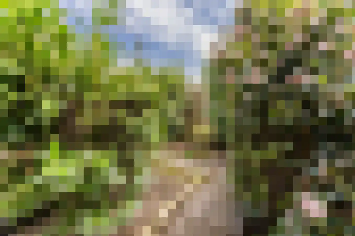 Zeggehof 22 Purmerend thumbnail 31