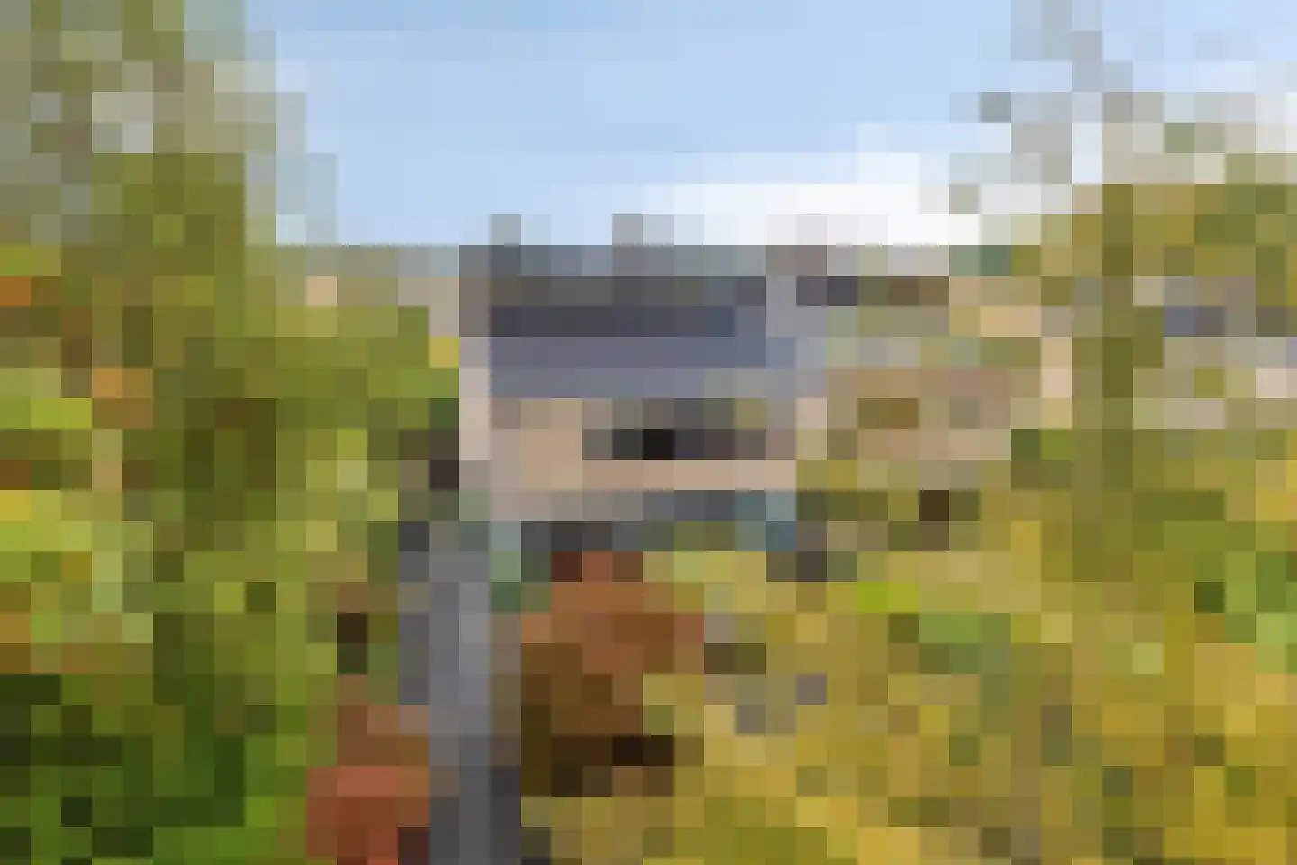 Zeggelaan 17 Terheijden