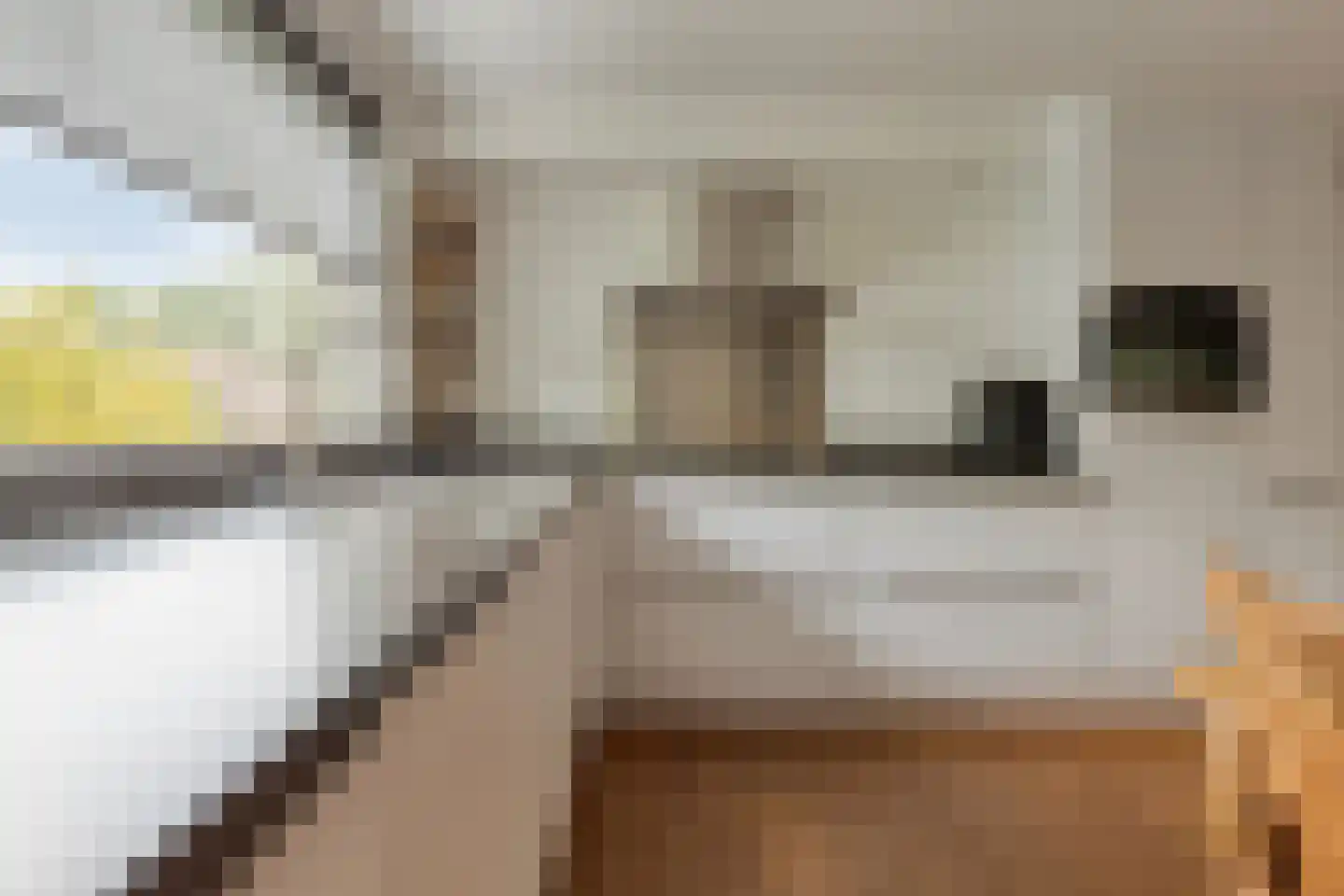 Zeggelaan 17 Terheijden thumbnail 16