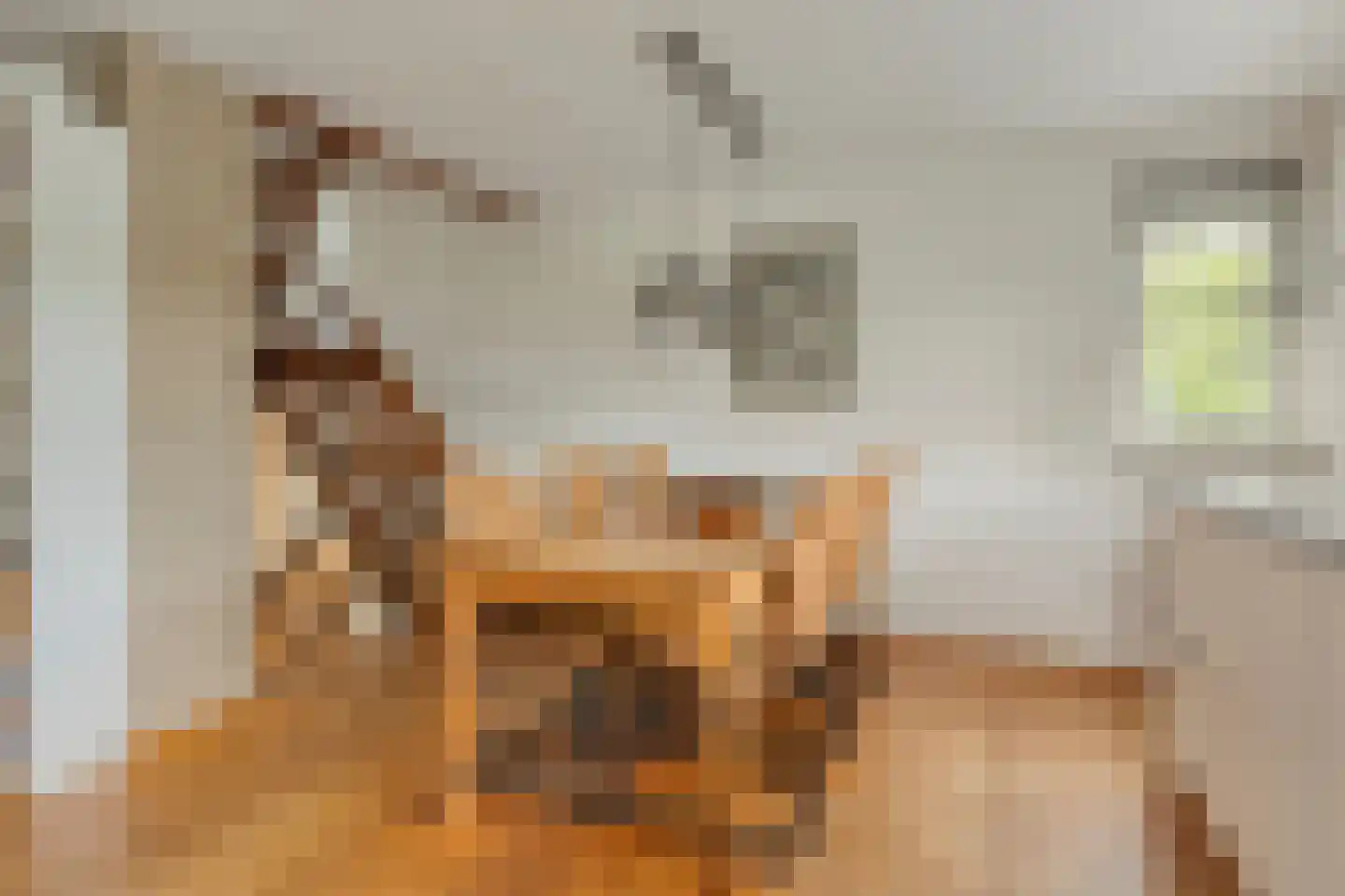 Zeggelaan 17 Terheijden thumbnail 18