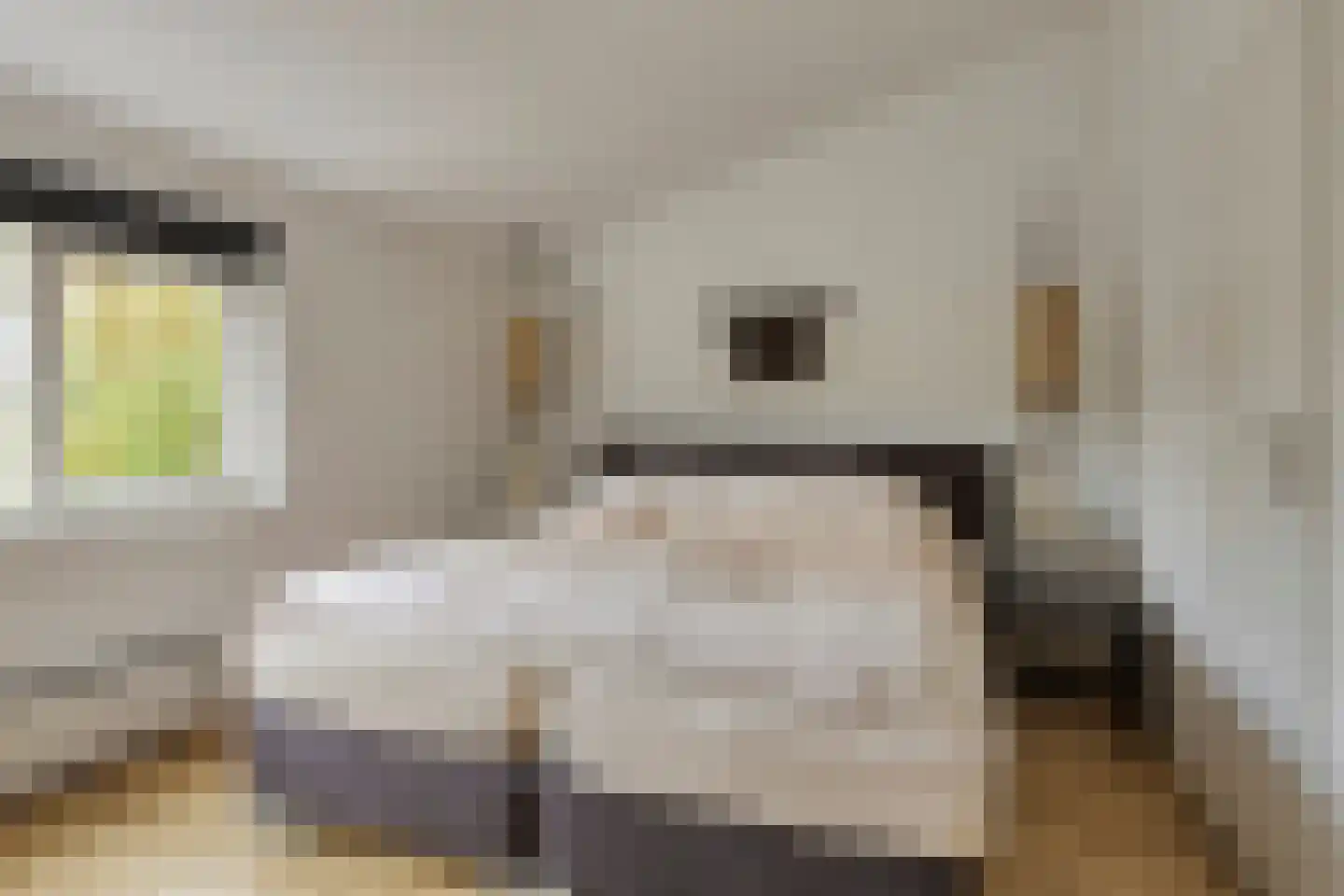 Zeggelaan 17 Terheijden thumbnail 20