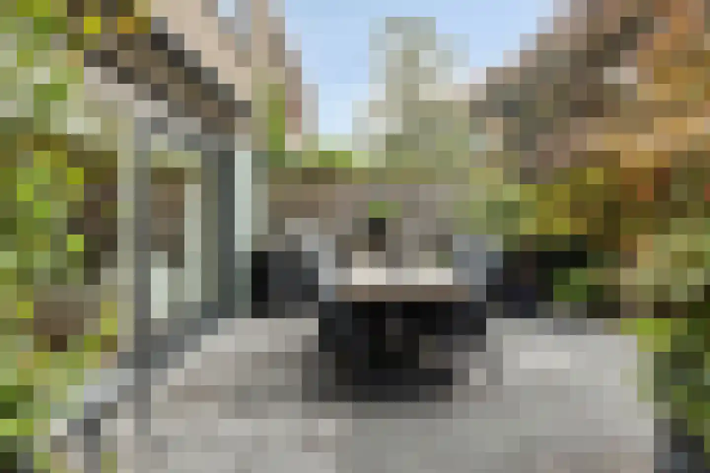 Zeggelaan 17 Terheijden thumbnail 29