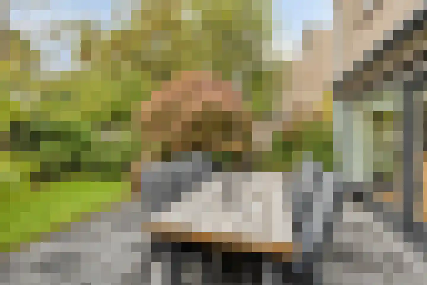 Zeggelaan 17 Terheijden thumbnail 30