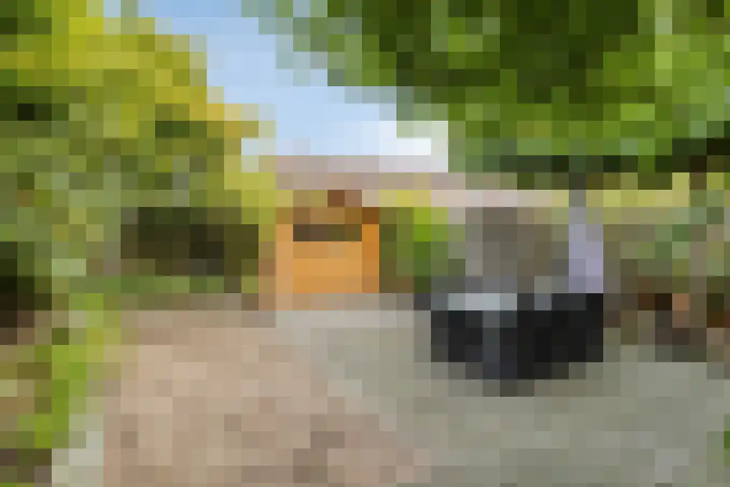 Zeggelaan 17 Terheijden thumbnail 31