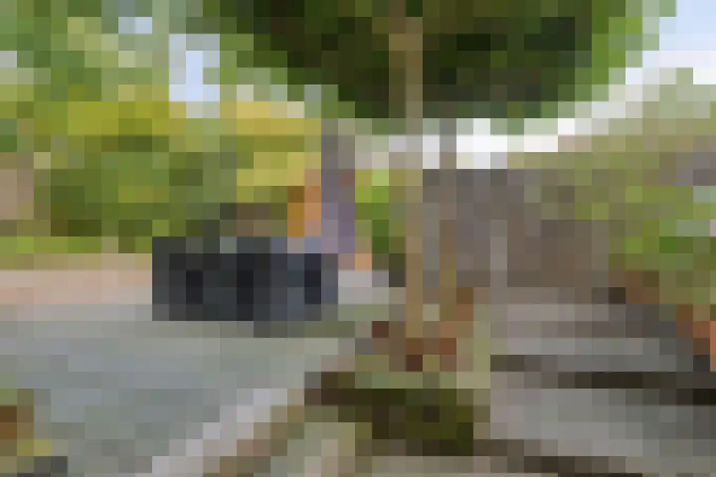 Zeggelaan 17 Terheijden thumbnail 32