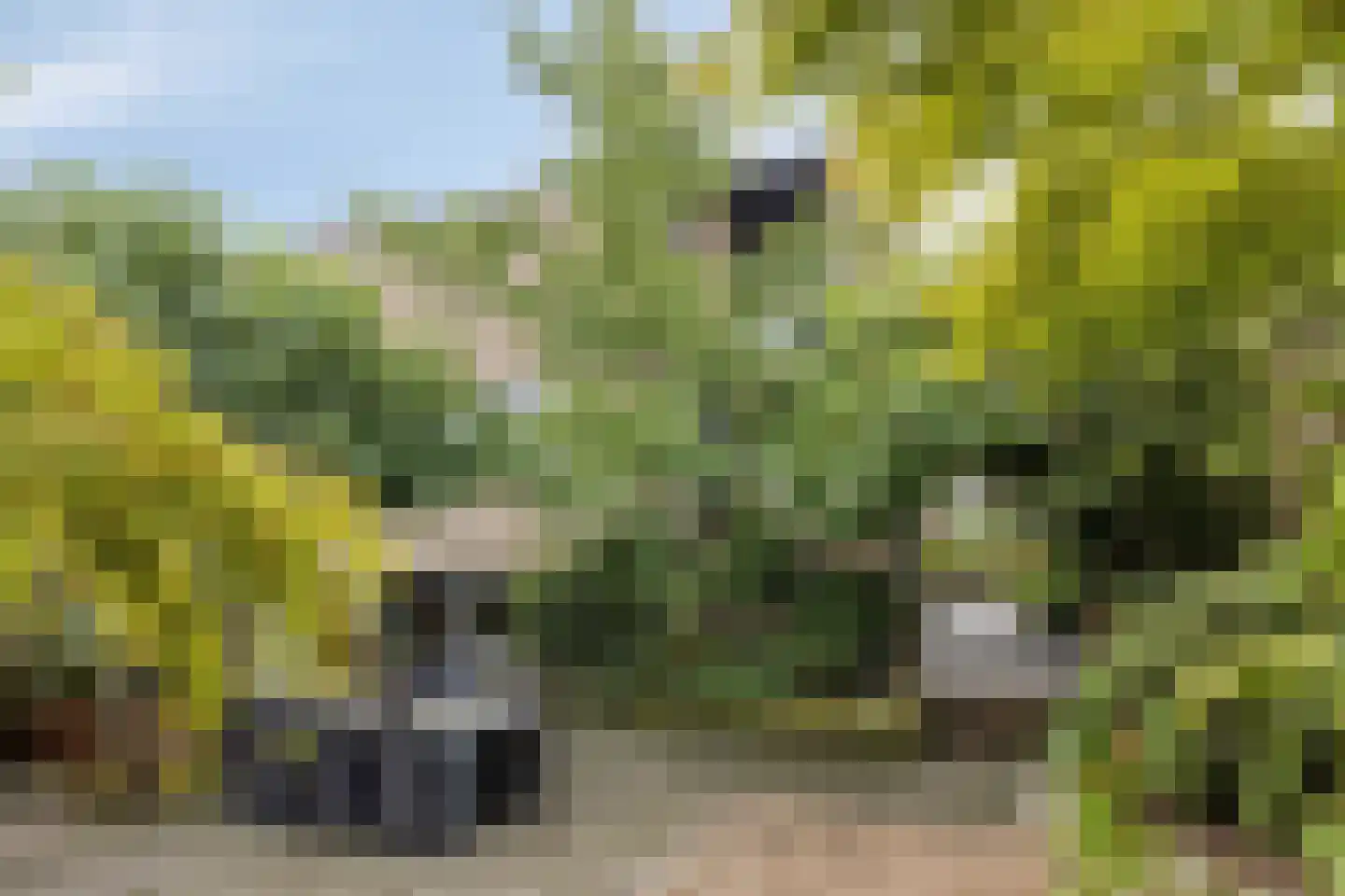 Zeggelaan 17 Terheijden thumbnail 34