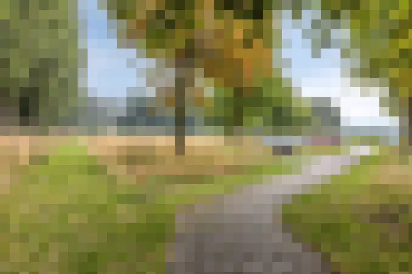 Zeggelaan 17 Terheijden thumbnail 38