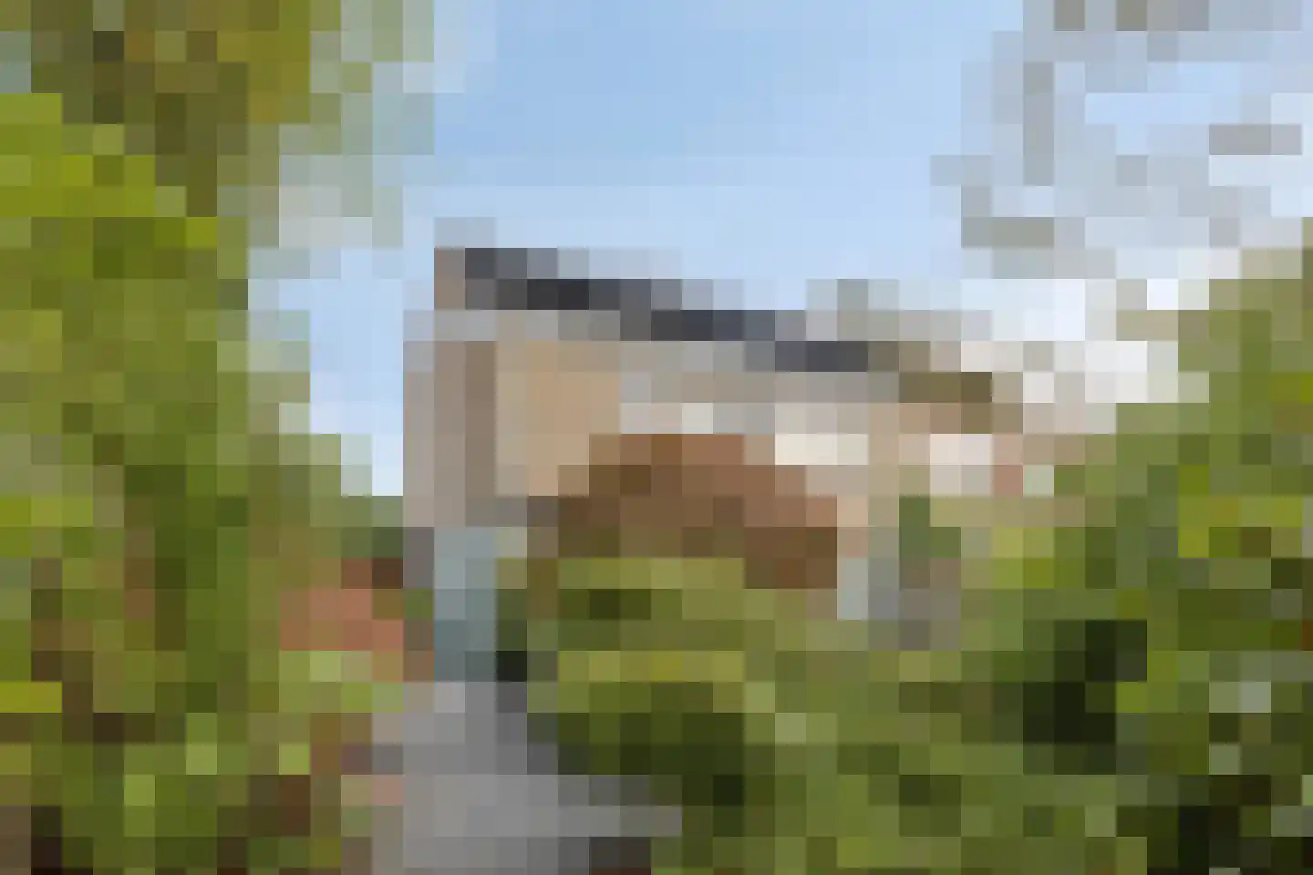 Zeggelaan 17 Terheijden thumbnail 6
