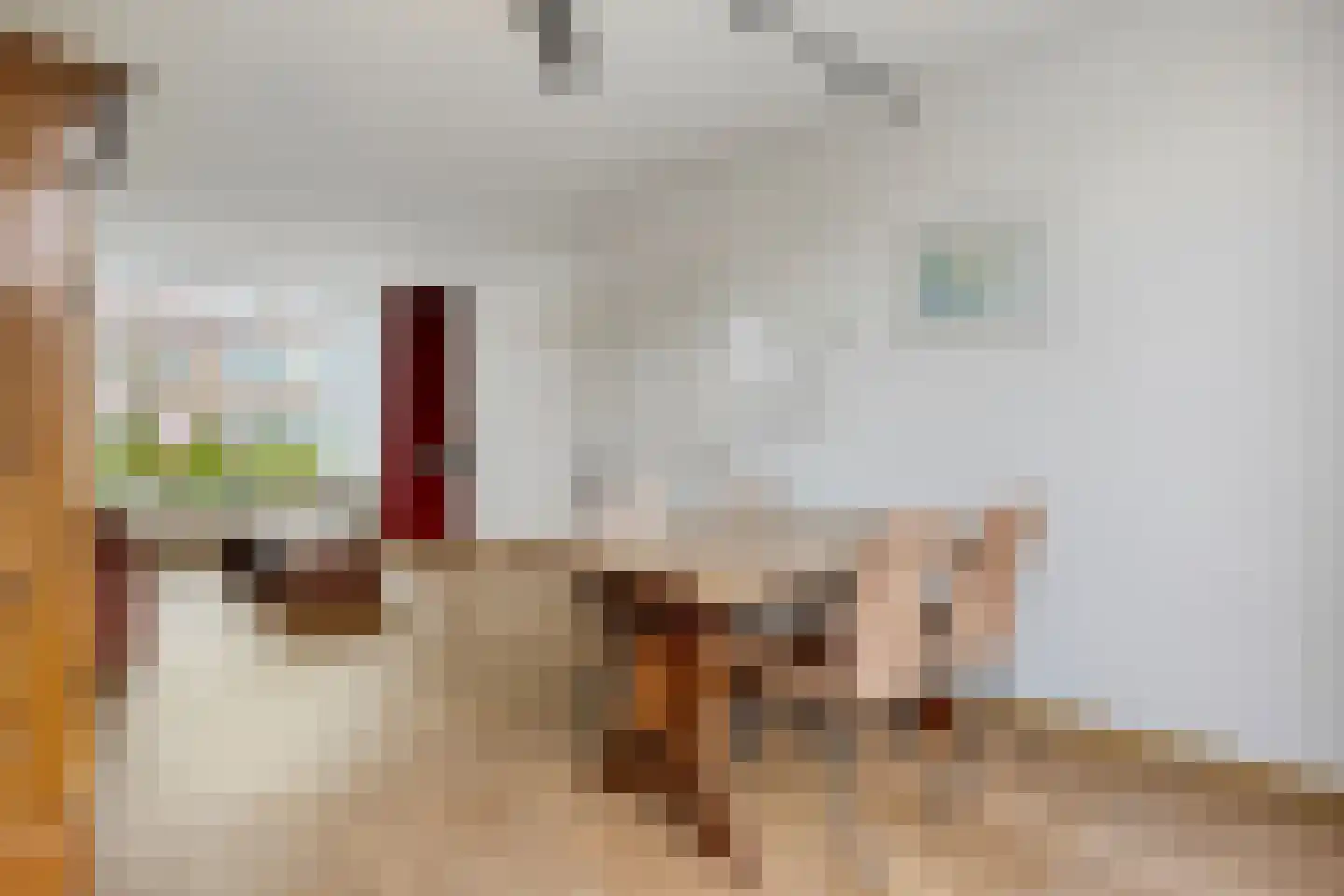 Zeggelaan 49 Terheijden thumbnail 11