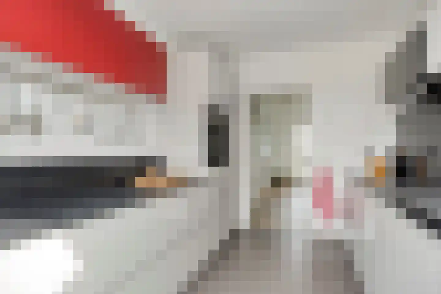 Zeggelaan 49 Terheijden thumbnail 13