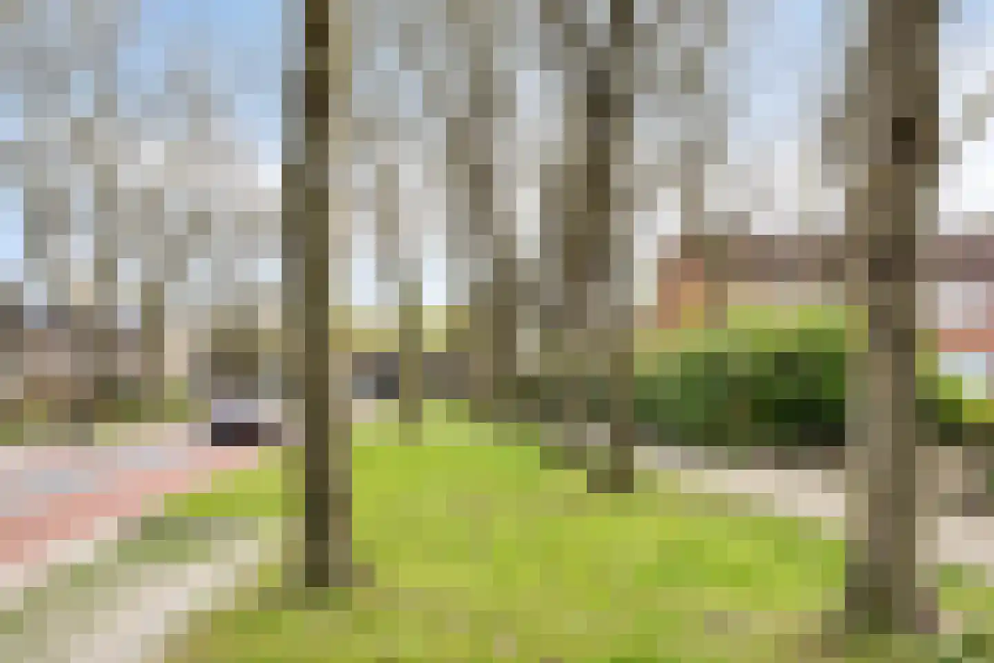 Zeggelaan 49 Terheijden thumbnail 31