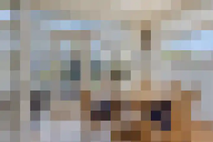 Zeggelaan 57 Terheijden thumbnail 14