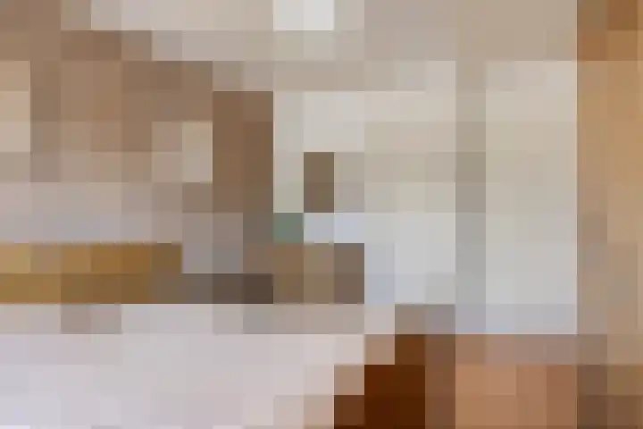 Zeggelaan 57 Terheijden thumbnail 23