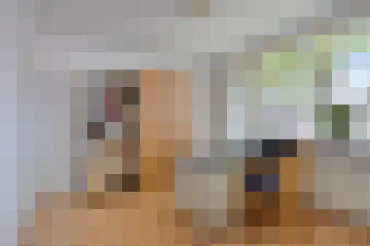 Zeggelaan 57 Terheijden thumbnail 27