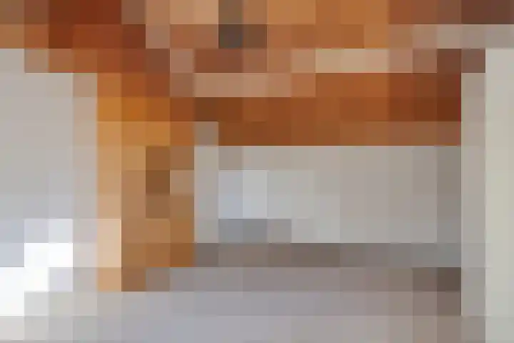 Zeggelaan 57 Terheijden thumbnail 33