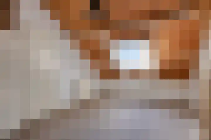 Zeggelaan 57 Terheijden thumbnail 34
