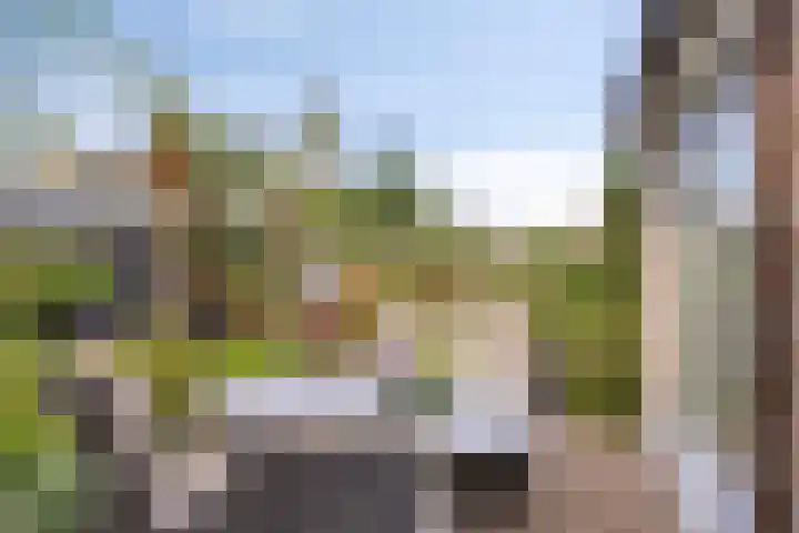 Zeggelaan 57 Terheijden thumbnail 35