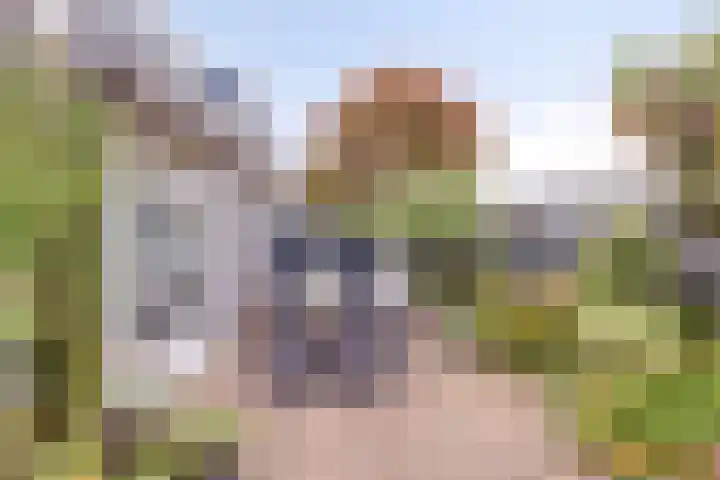 Zeggelaan 57 Terheijden thumbnail 36