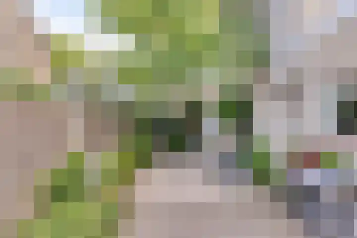 Zeggelaan 57 Terheijden thumbnail 37