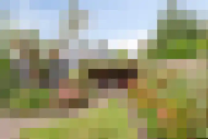 Zeggelaan 57 Terheijden thumbnail 38