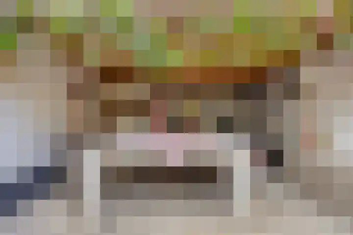 Zeggelaan 57 Terheijden thumbnail 39