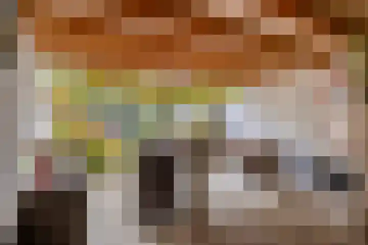 Zeggelaan 57 Terheijden thumbnail 40