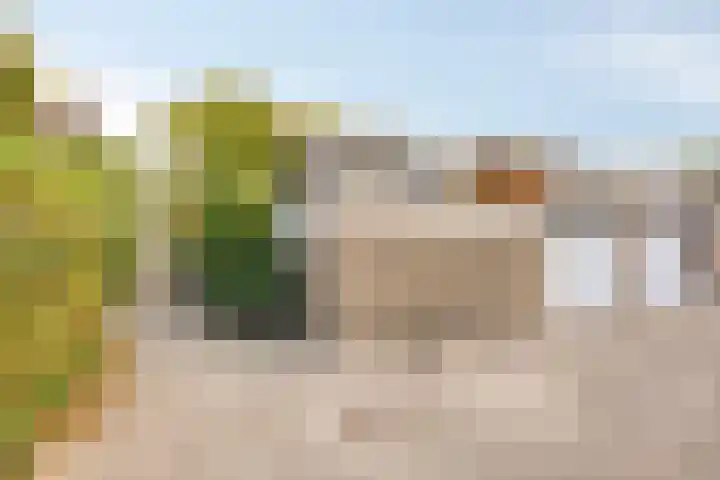 Zeggelaan 57 Terheijden thumbnail 43