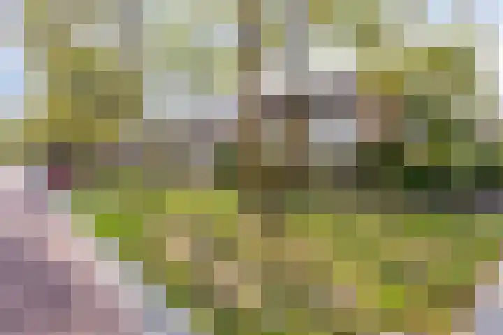 Zeggelaan 57 Terheijden thumbnail 44