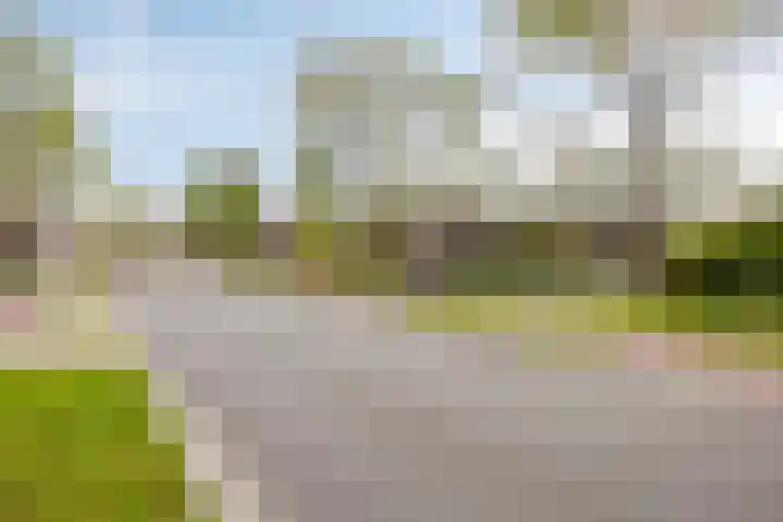 Zeggelaan 57 Terheijden thumbnail 46