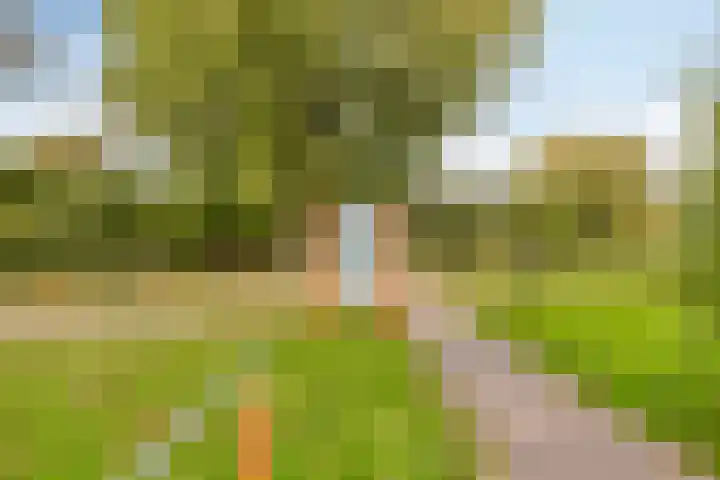 Zeggelaan 57 Terheijden thumbnail 48