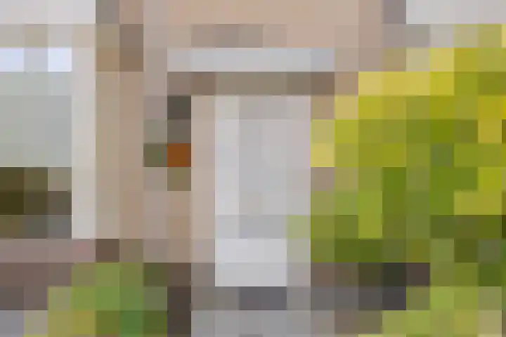 Zeggelaan 57 Terheijden thumbnail 5