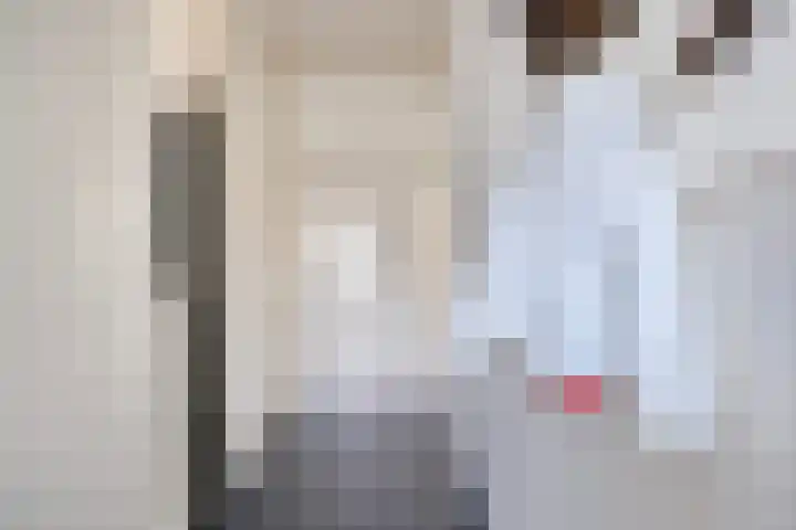 Zeggelaan 57 Terheijden thumbnail 6