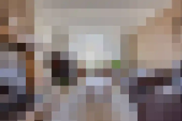 Zeggelaan 57 Terheijden thumbnail 8