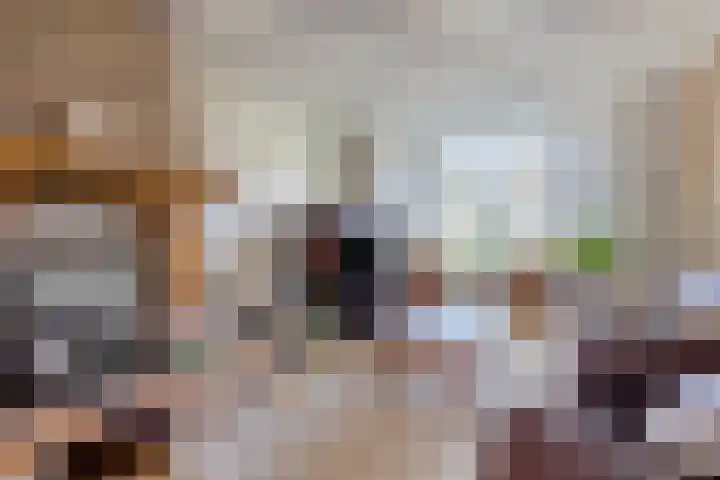 Zeggelaan 57 Terheijden thumbnail 9