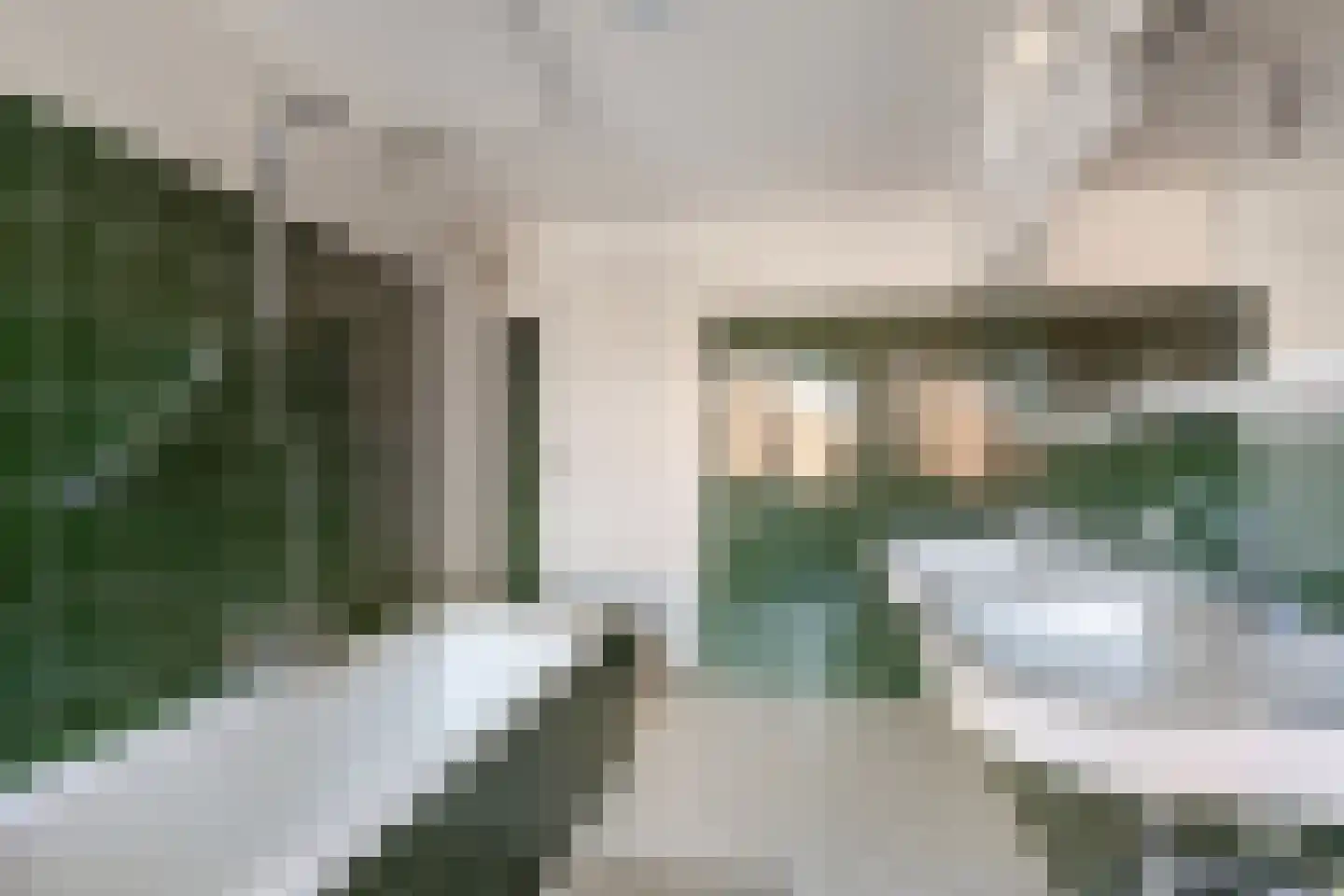 Zeggelaan 9 Terheijden thumbnail 19