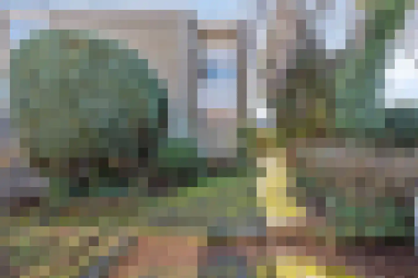 Zeggelaan 9 Terheijden thumbnail 27
