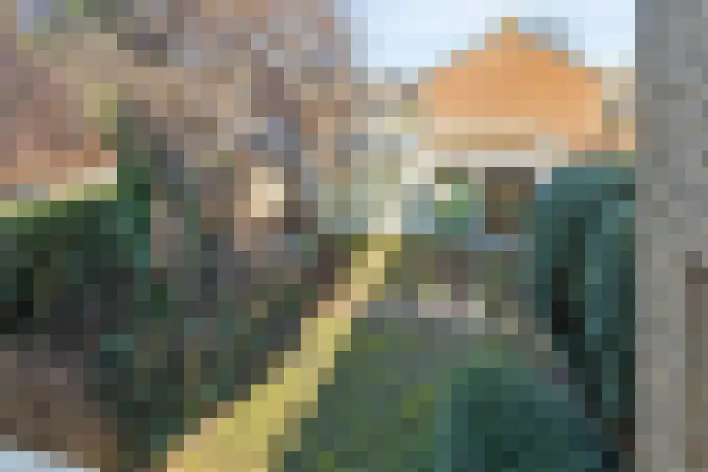 Zeggelaan 9 Terheijden thumbnail 4