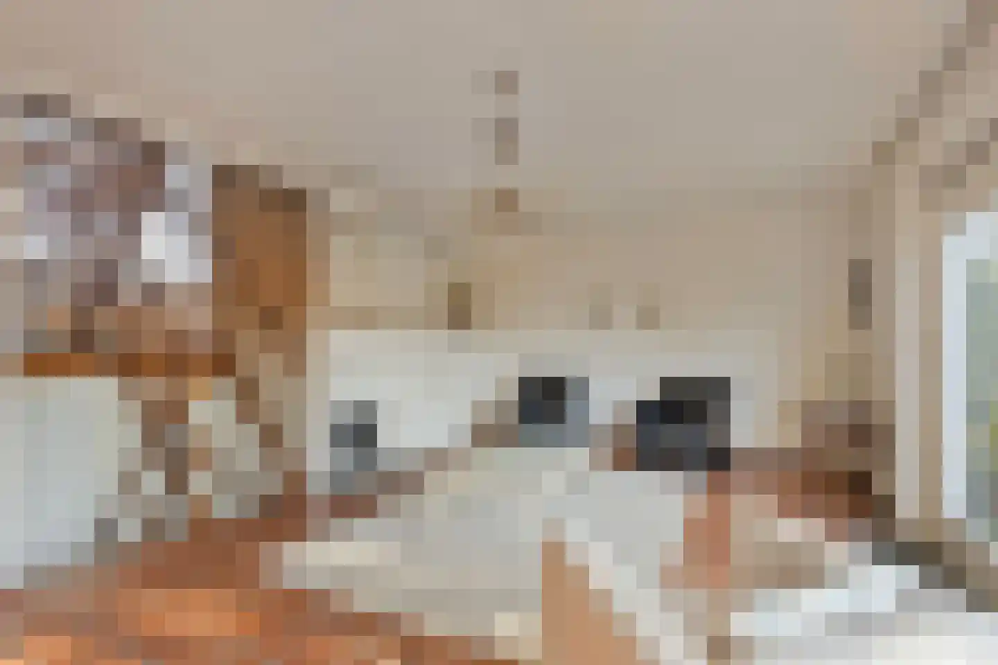 Zeggelaan 9 Terheijden thumbnail 8